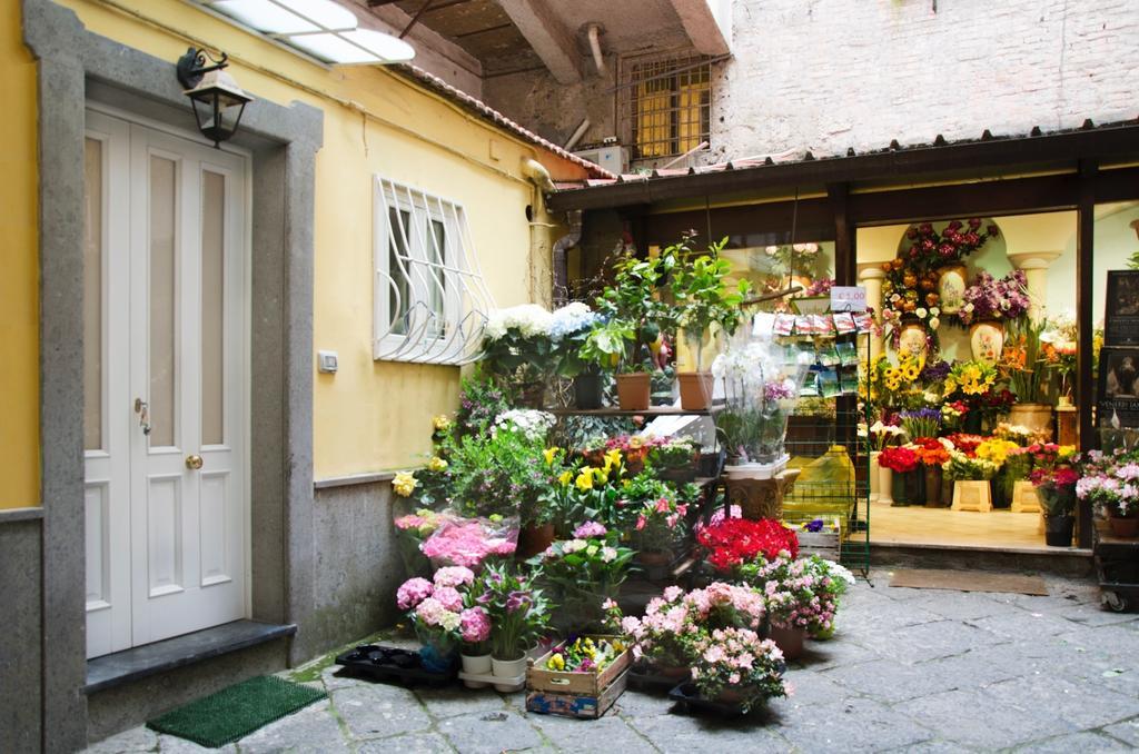 Casa Tonia San Cesareo Daire Sorrento Oda fotoğraf